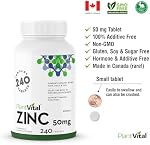 PlantVital Zinc Supplements - High Potency 50mg - Immune Support, Healthy Bones, Hair, Nail and Skin with Zinc Gluconate - Canadian Made, Health Canada Licensed - Additive-Free - 240 Zinc Tablets