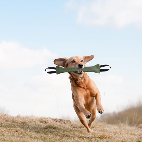 2 Pcs Beisswurst für Hunde 30cm Hundebiss Schlepper Spielzeug mit Handschlaufe zum Training Tauziehen und Zerrspiele Robustes Hundespielzeug Jute Beisswurst für Hunde Hund e Training Zubeh (Schwarz)