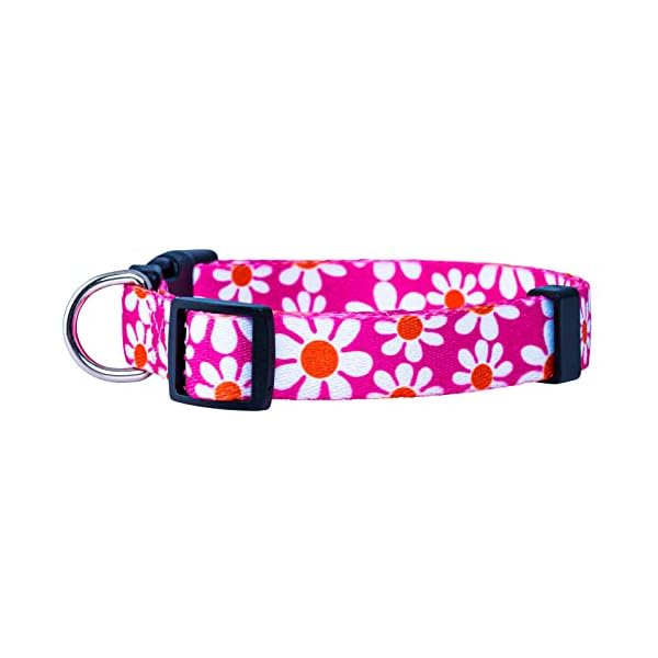 Native-Pup-Flower-Dog-Collar-Adjustable-Small-Medium-Large-Cute-Girl-Female-Summer-Spring-Pretty-Designer-Puppy-Essentials-Accessories-Pink-Floral-Blue-Daisy-Rose-Medium-Pink-Daisy Native Pup Flower Dog Collar: The Perfect Accessory for Your Pooch