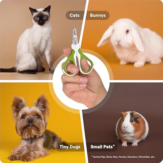 Pet Nail Clippers for Indoor Cats & Small Animals - Precision Angled Blades & Steady Grip - Ideal for Kittens Tiny Dogs Rabbits Birds - Nail Trimmer & Claw Scissors for Home Grooming - eBook Guide-CjR9S0eN