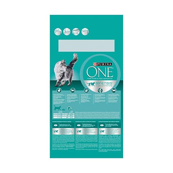 PURINA ONE BIFENSIS Adult Katzentrockenfutter: reich an Huhn, stärkt natürliche Abwehrkräfte, für gesunde Knochen, Haut, Zähne & Harnwege I ab 1 Jahr – Bild 8