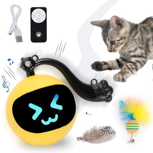 GoldSuccess LED Remote Control Ball Toy
