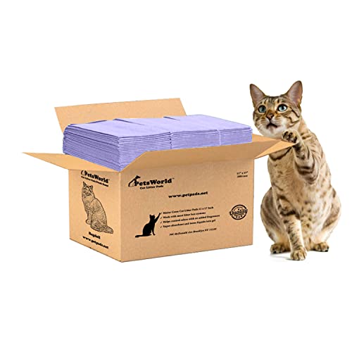 Breeze Cat Pads The 15 best products compared Wild Explained