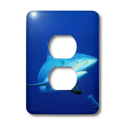 Couvercle de sortie requin des Caraïbes 3dRose LSP_45862_6 plaque murale