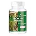 Produktbild Huperzia Extrakt - 180 Kapseln - vegan - hochdosiert - Huperzin A | Vitamintrend®
