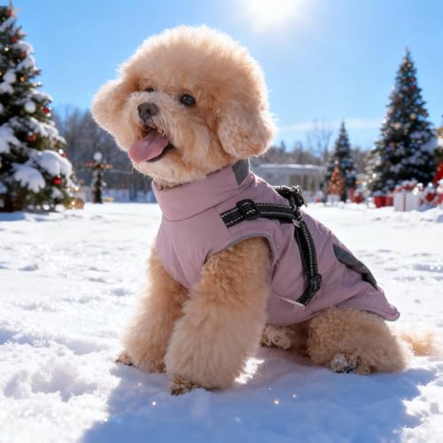 Hundejacke für kleine mittelgroße Hunde, Warmer winddichter Winter Hundemantel mit Geschirr, Haustier Hunde Welpen Outdoor Skifahren Jacken Weste Kostüm (Lila, M)