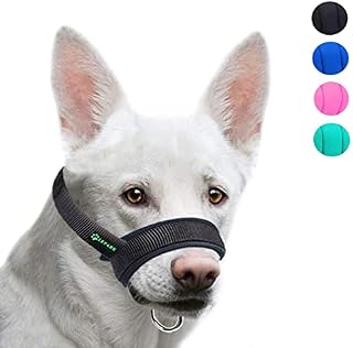 ILEPARK Dog Muzzle with Soft Fabric Padded to Prevent Biting, Chewing, for Small, Medium and Large Dogs, Adjustable and Breathable(S, Green)