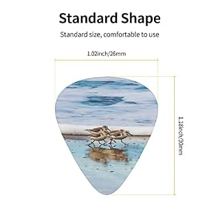 Shorebird Sandpipers Running Beach Lot de 12 médiators pour guitare acoustique électrique - Les Beatles, Paul McCartney, John Lennon, RIngo Starr, George Harrison Shorebird Sandpipers Running Beach Lot de 12 médiators pour guitare acoustique électrique – Image 4