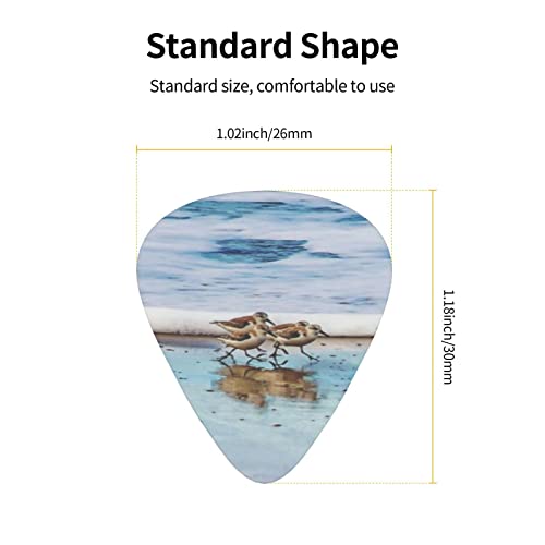 Shorebird Sandpipers Running Beach Lot de 12 médiators pour guitare acoustique électrique - Les Beatles, Paul McCartney, John Lennon, RIngo Starr, George Harrison Shorebird Sandpipers Running Beach Lot de 12 médiators pour guitare acoustique électrique – Image 5