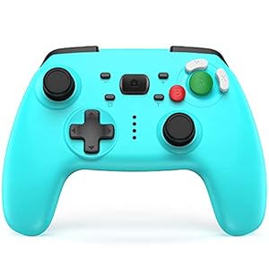 JAMSWALL Controller Kompatibel für Switch, Rechargeable Remote Controller Wireless Gamepad Joystick Adjustable Turbo Dual Shock Gyro Axis Kompatible mit Nintendo Switch/Switch Lite