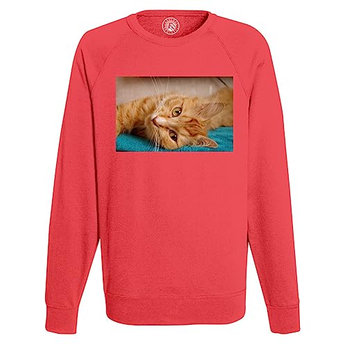 Sweatshirt Homme Chat Roux imprimé haute définition lavable en machine sans décoloration