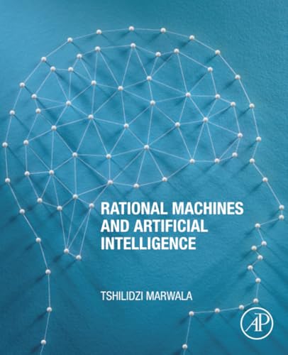 Rational Machines and Artificial Intelligence view 2