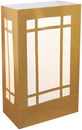 LumaBase Party Festive Lighting Plastic Luminaria Bags Lantern 12ct