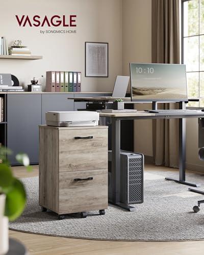 Image of VASAGLE 2-Drawer File Cabinet, Small Rolling Filing Cabinet for Home Office, Printer Stand, for A4, Letter-Size Documents, 15.7 x 16.5 x 27.6 Inches, Heather Greige UOFC040LK02S