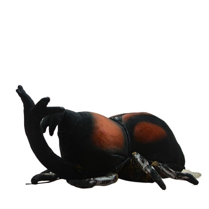 Coléoptère de rhinocéros en peluche réaliste de 30cm pour décoration