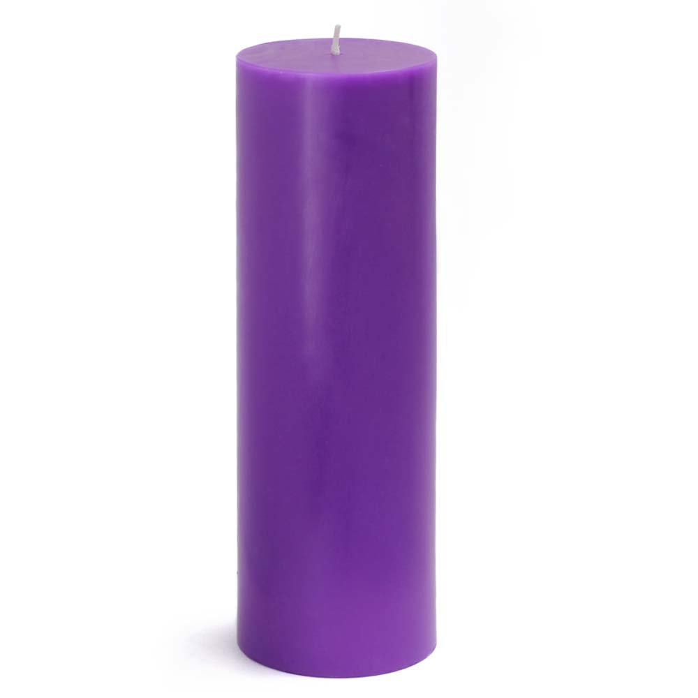 Zest CandleCPZ-102_12 12-Piece Pillar Candle, 3" x 9", Purple