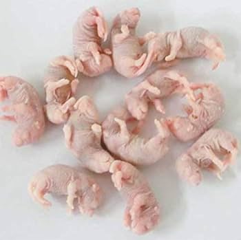 ☆モンチー☆国産冷凍マウス ピンクL 100匹(一部地域発送不可) 国産冷凍マウス ピンクL 100匹(一部地域発送不可)