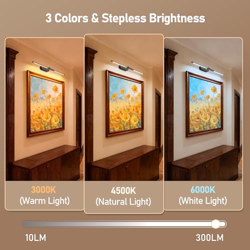 Image of Glendan 24 inch Wireless Picture Light for Wall, Rechargeable Art Light with Remote, 8000mAh Battery Operated, 3 Color Modes & Brightness Levels, Memory Timer, for 16-30 inch Painting Frame Gallery