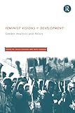 Feminist Visions of Development: Gender Analysis and Policy (Routledge Studies in Development Economics)