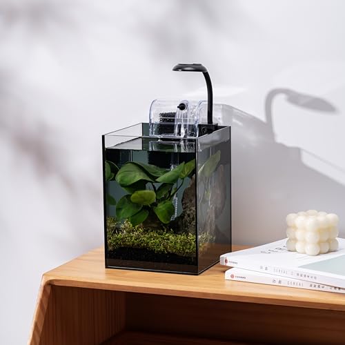 Kit de nano aquário, tanque de vidro pequeno sem aro de 1,5 galão com filtro, luz de aquário e decor