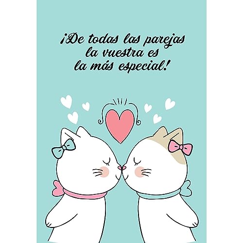Antracita Tarjeta amor boda chicas LGTBI gatitas 15x23cm   felicita la union   sobre monedero para regalo