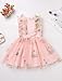 IMEKIS Fairy Dresses for Girls: 5th 6th Birthday Girl Outfit Cake Smash Toddler Graduation Dress Flower Girl Kids Princess Easter Dress Tea Party Wedding Pageant Tulle Light Pink Floral 5-6 Years