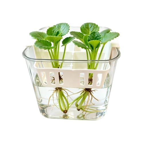 Maceta hidropónica, contenedores de doble capa de 4 rejillas, macetas de red hidropónica, para interiores, hogar, balcón, sala de estar, dormitorio, cocina, escritorio, jardín, patio, exterior