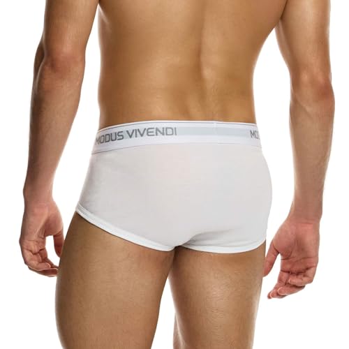 Modus Vivendi Underwear, Staple 100% Cotton Fly Front Brief, Pack of 3
