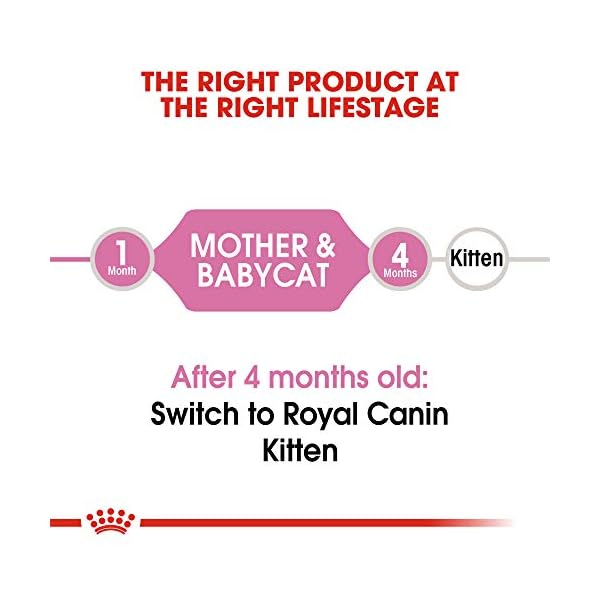 ROYAL CANIN FELINE HEALTH NUTRITION Mother & Babycat dry cat food, 3.5-Pound by Royal Canin – Bild 5