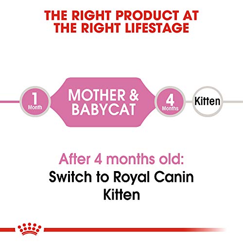 ROYAL CANIN FELINE HEALTH NUTRITION Mother & Babycat dry cat food, 3.5-Pound by Royal Canin