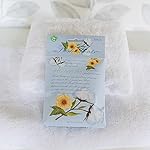 WILLOWBROOK | Fresh Scents Scented Sachet Packet | White Cotton | Air Freshener Bags for Drawers, Closets, Cars | 6 Pack | Long Lasting Home Fragrance - Image 3