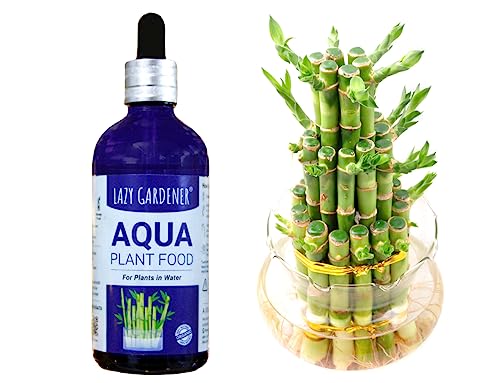 Lazy Gardener Aqua Plant Food | Liquid Fertilizer for Bamboo, Money Plant & Indoor Water Plants | Aqua Plant Fertilize for Hydroponic & Aquatic Plant Fertilizer (100ml)