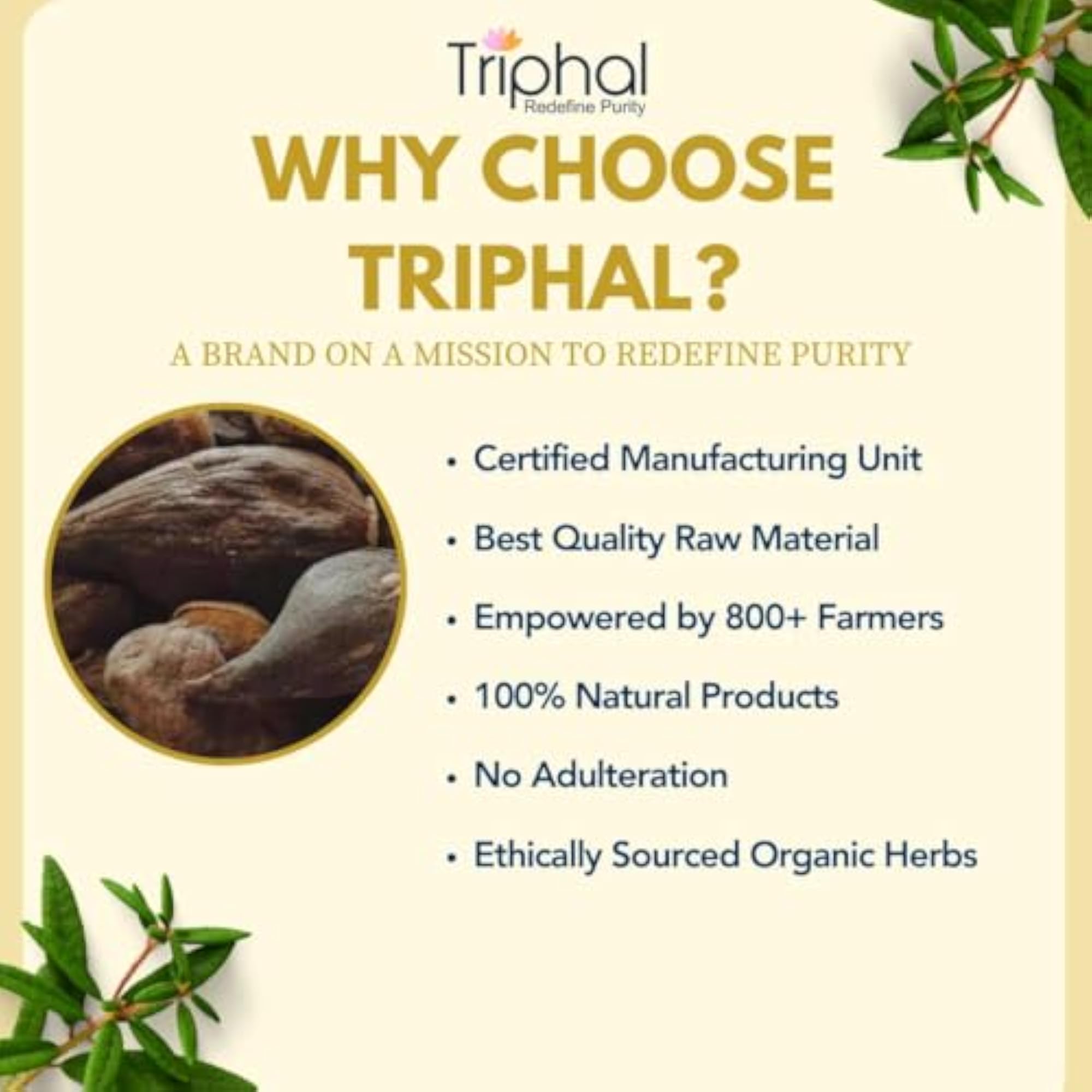 TRIPHAL Salab Gatta Powder, 200g