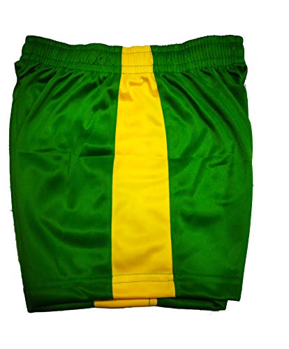 Image of SS SPORTS & ICE CREAM Kabaddi kit with t Shirt (Half Sleeves) & Shorts Made of Polyster