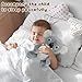 peluche De Koaly Ultrasuave, Koala peluche Koala Imagen de peluche De Koaly Ultrasuave, Koala peluche Koala