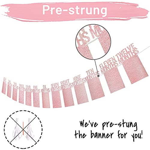 PartyHooman 1st Birthday Photo Banner for Baby from Newborn to 12 Months, 1st Birthday Decorations Girl Monthly Milestones Garland | 1 Year Old First Photo Banner Pre-strung with Frame (Rose Gold)