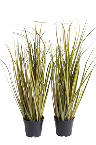 künstliches Grasarrangement - Gras im Topf - im schwarzen Kunststofftopf Farbe: grün, Hellbraun (2, 24 x 48 cm) Cover