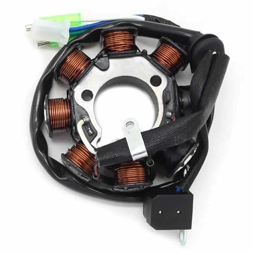 Stator bobine d'allumage moto pour restaurer votre TRX250R vintage