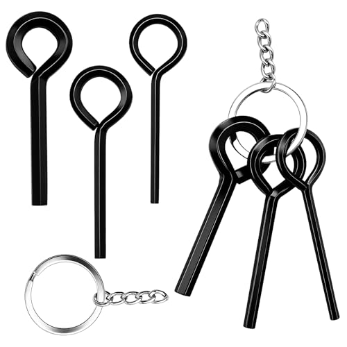 LUSTRIB 8 Pcs Allen Wrench Keychain Set, 1/8