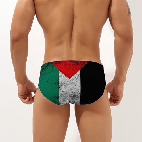 Zakqeik Mens Swim Briefs Swimwear Loose Bikini Swimsuit Striped Print Bathing Suit2