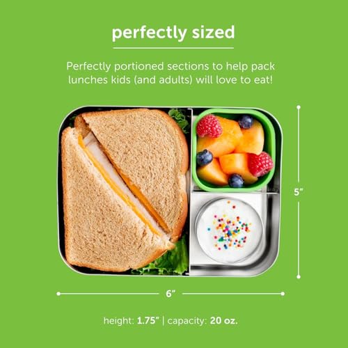 LunchBots LB-TRIPLE Stainless Steel Food Container - 1 Piece, Steel