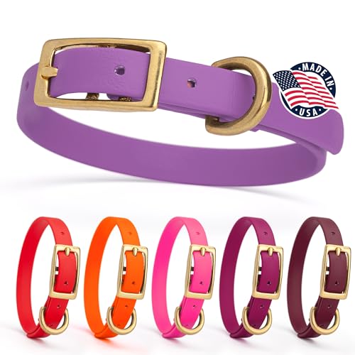 Image of Viper Biothane Heavy Duty Waterproof Dog Collar Strong Coated Nylon Webbing w /Solid Brass Hardware Odor-Proof for Easy Care to Clean High Performance Fits Small Medium or Large Dogs, Amethyst Purple