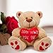 Valentines Day Gifts Teddy Bear Stuffed Animals Plush Bear & Heart, Birthday Gifts for Her Women Girlfriend Wife Mom Kids and Friends on Christmas Valentin's Day Mother's Day Wedding and Anniversary
