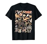 Types of Forest Animals Nature Wildlife Woodland...