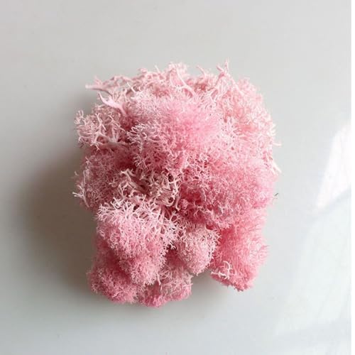 �l�H�A���i���̖��� DIY �����Ƃ̑����Ԍ������}�C�N�����i(C3)