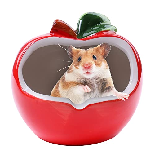 nX^[ nEX  ւ B  ėp Ђ [΍ ΍ xݏ Q  gC K 킢 􂦂 t |֗ (S^)