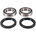 Pivot Works PWRWK-S11-020 Rear Wheel Bearing Kit