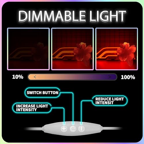 Image of Racing Neon Signs for Wall decor Racing Sports Led Lights sign for Man Cave Beer Bar Garage Art Wall DecorativeChristmas Birthday Party Gift16.1 * 4.8inch