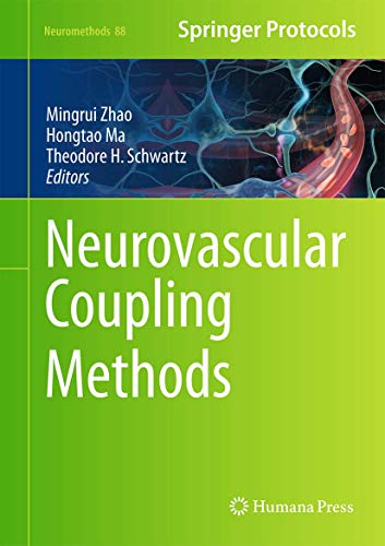 Neurovascular Coupling Methods view 2
