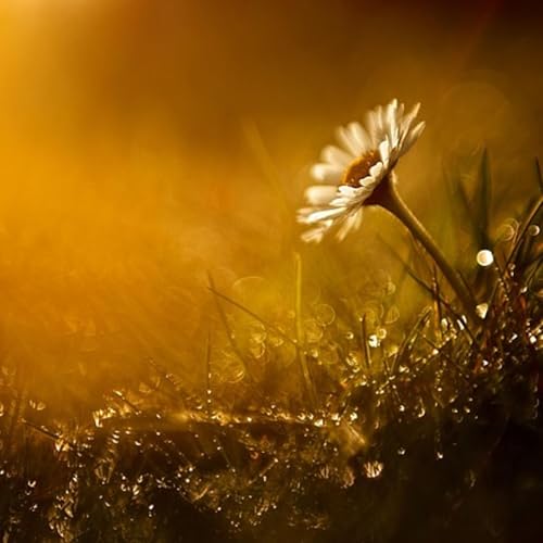 During Caregiving, Your Thoughts About the Mess Others Make